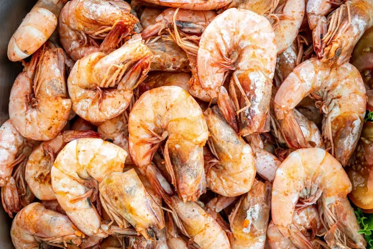 Gamberi 3 Isole Similan: 2 gg 1 n Liveaboard con MV Koon 1 (Fun Dive) Isole Similan: 2 gg 1 n Liveaboard con MV Koon 1 (Fun Dive) - immagine 3