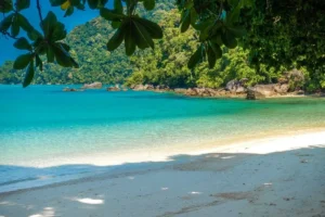 surin-island-early-bird-in-italiano