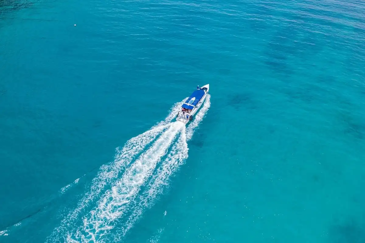 Speed Boat Che naviga in mare 3 Koh Rok & Haa Islands con Speed Boat da Phuket o Khao Lak Koh Rok & Haa Islands con Speed Boat da Phuket o Khao Lak - immagine 3