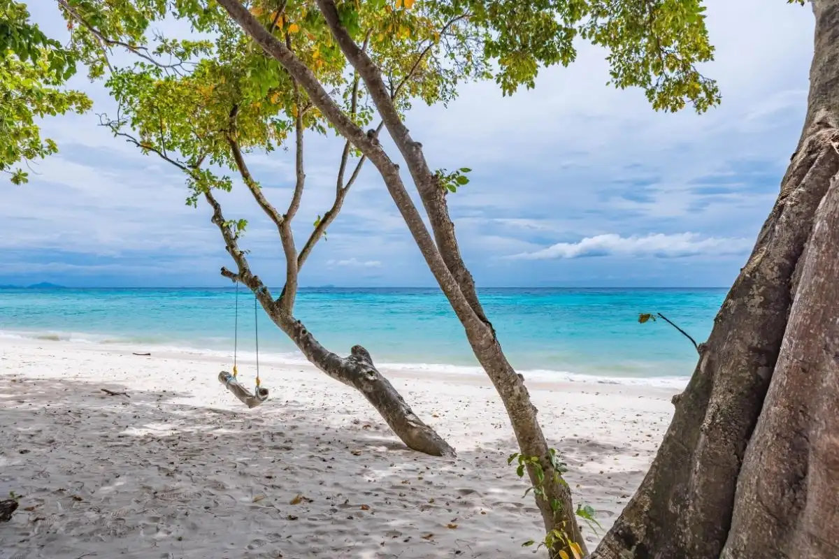 Spiaggia Koh Haa 2 Koh Rok & Haa Islands con Speed Boat da Phuket o Khao Lak Koh Rok & Haa Islands con Speed Boat da Phuket o Khao Lak - immagine 2