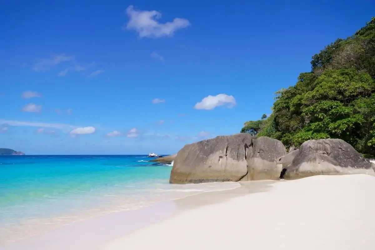 Spiaggia Similan 4 Lazy Similan con Catamarano Veloce da Phuket o Khao Lak Lazy Similan con Catamarano Veloce da Phuket o Khao Lak - immagine 4