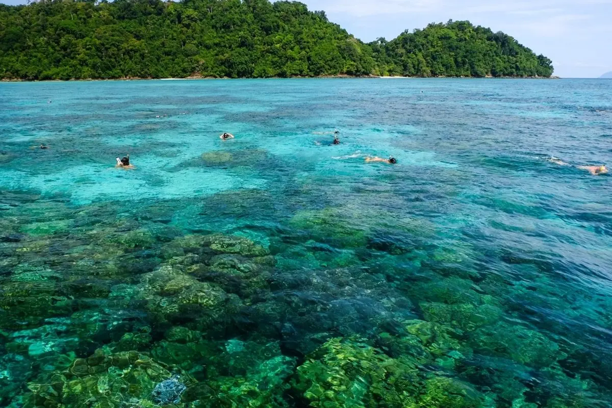 Surin snorkeling Siam Adventure World 2 Surin Island Early Bird in Italiano, Escursione da Phuket o Khao Lak Surin Island Early Bird in Italiano, Escursione da Phuket o Khao Lak - immagine 2