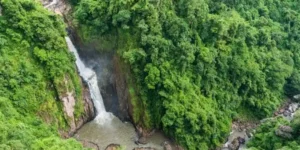 Escursione Parco Nazionale Khao Yai: Natura e Passeggiate (Da Bangkok)