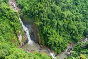 Escursione Parco Nazionale Khao Yai: Natura e Passeggiate (Da Bangkok)