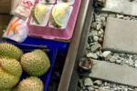 Frutta tropicale in vendita vicino a binari ferroviari di mercato thailandese
