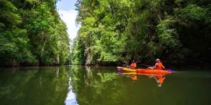 Persone in kayak in Ao Thalane circondato da foresta lussureggiante