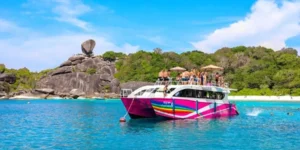 Catamarano turistico colorato in mare tropicale vicino a scogliere e spiaggia in Similan Island