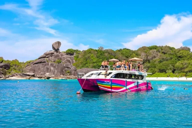 Catamarano turistico colorato in mare tropicale vicino a scogliere e spiaggia in Similan Island