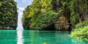 Gita in kayak attraverso laguna tropicale Koh Hong con acqua cristallina e vegetazione lussureggiante