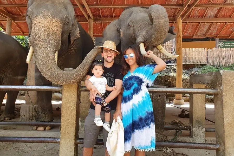 Foto Ricorco con elefanti di Chiang Mai Chi Siamo 5