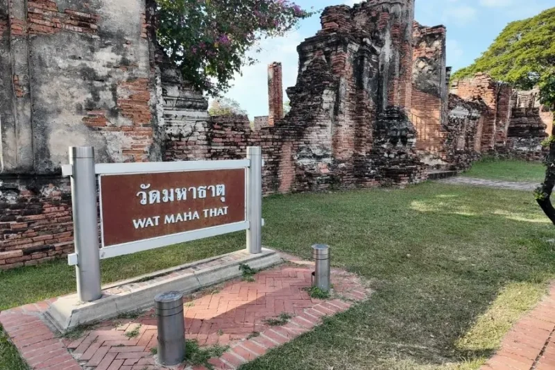 Rovine storiche di Wat Maha That in Thailandia con cartello informativo
