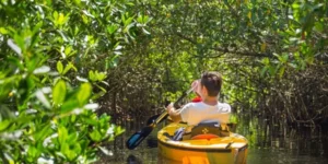 Uomo in kayak esplora canali di mangrovie