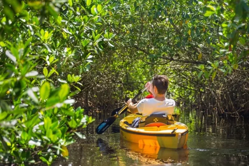 Kayak in Krabi Escursione Mezza Giornata Kayaking in Ao Thalane, (Da Krabi) 1