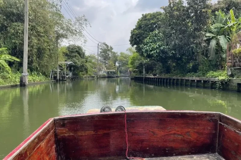 Vista di un canale circondato da vegetazione dalla prua di una barca