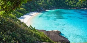 Spiaggia tropicale con sabbia bianca e acqua cristallina circondata da vegetazione lussureggiante in Similan Island