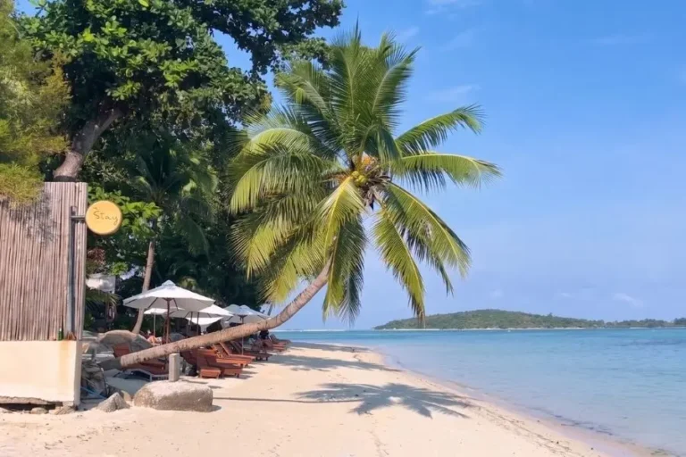 Guida Ko Samui
